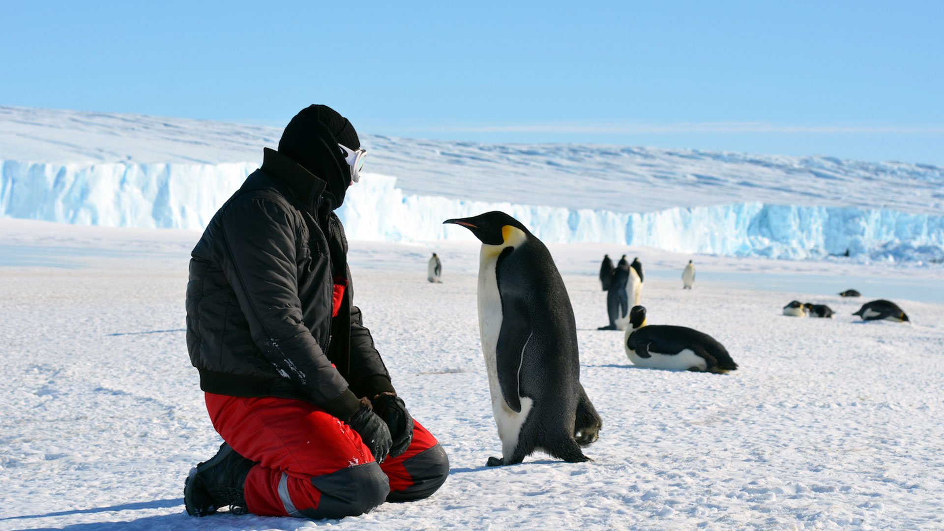 Antarctica 4