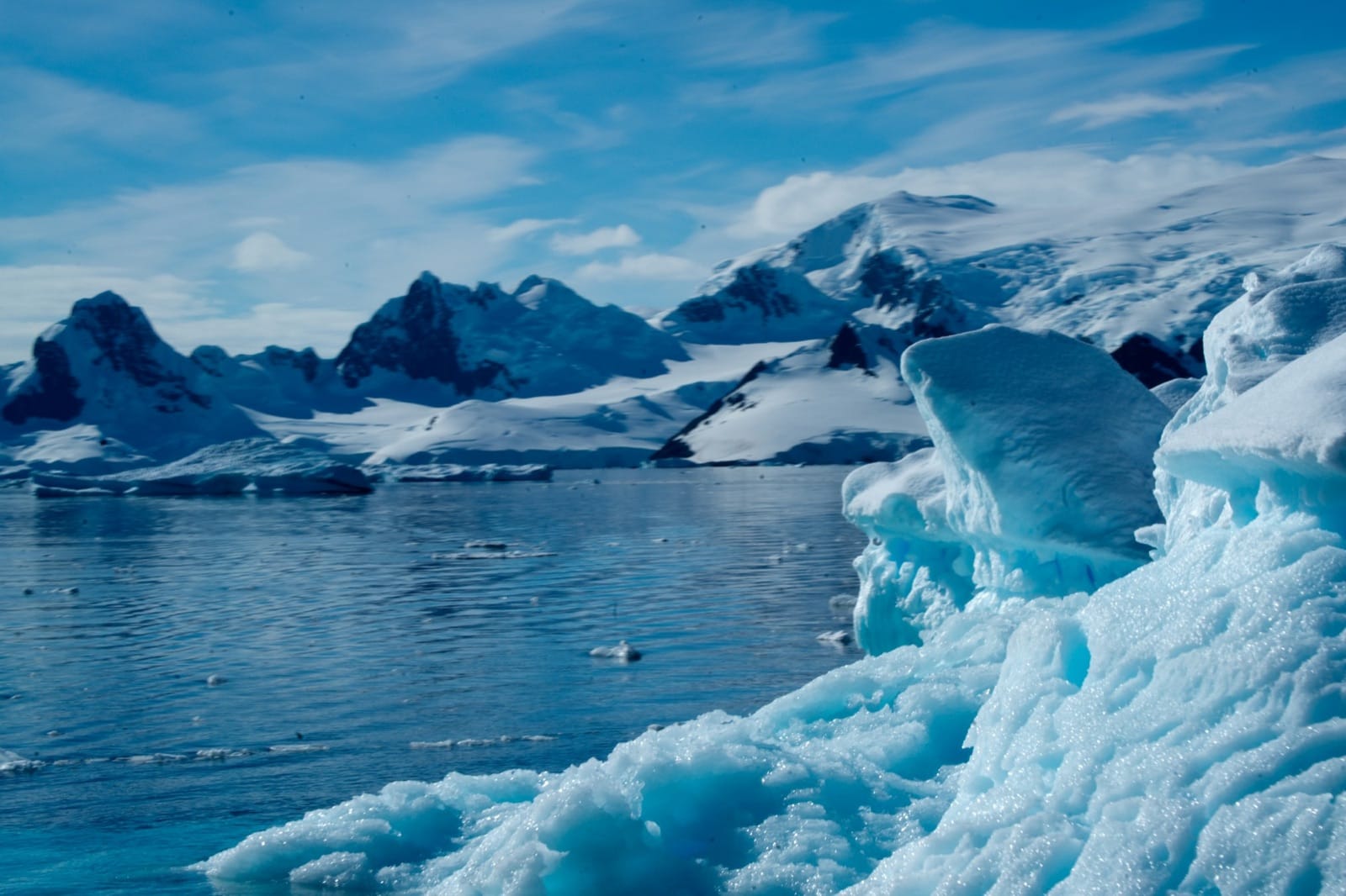 Best Time to Visit Antarctica: A Month-by-Month Guide
