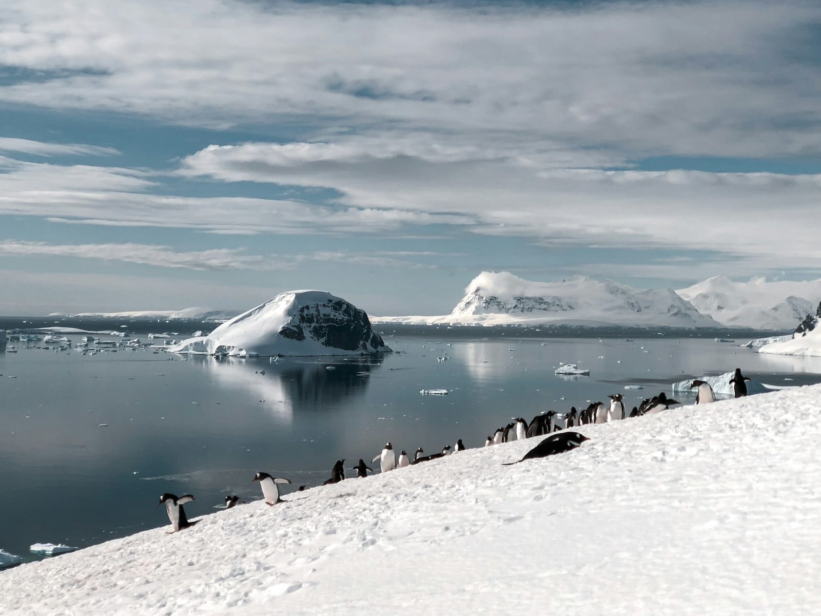 Why Antarctica Should Be Your Ultimate Bucket-List Trip