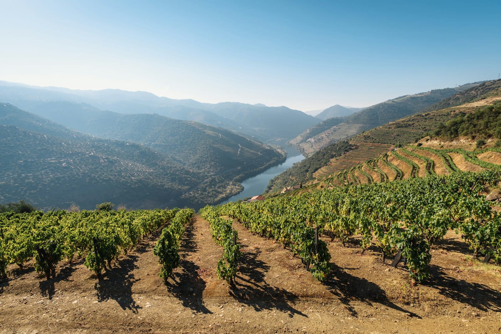 Exploring Portugal's Best Wine Regions