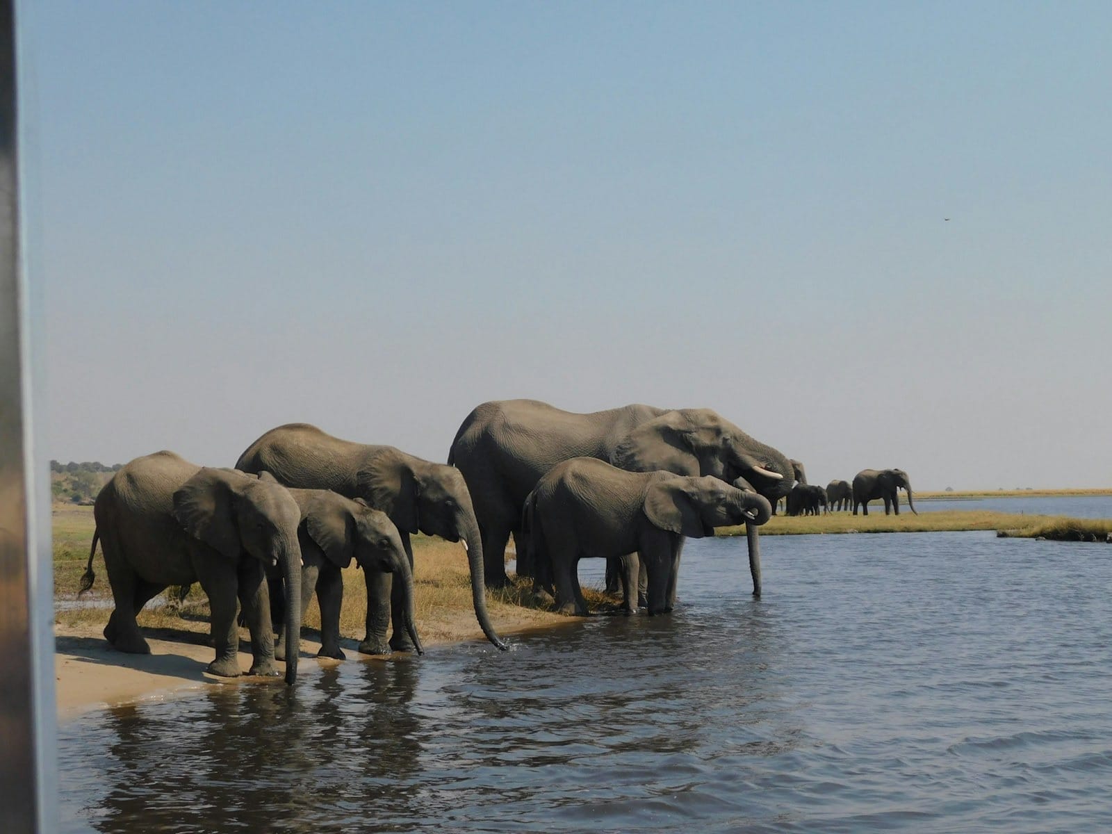 The 6 Best Luxury Safari Camps in Botswana, Ranked