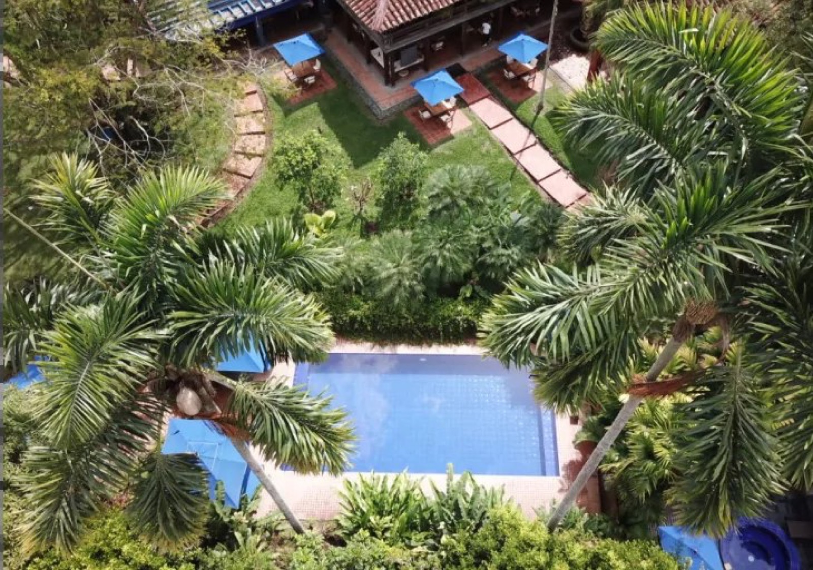 The Colombian Coffee Experience: A Luxury Guide to the Coffee Triangle