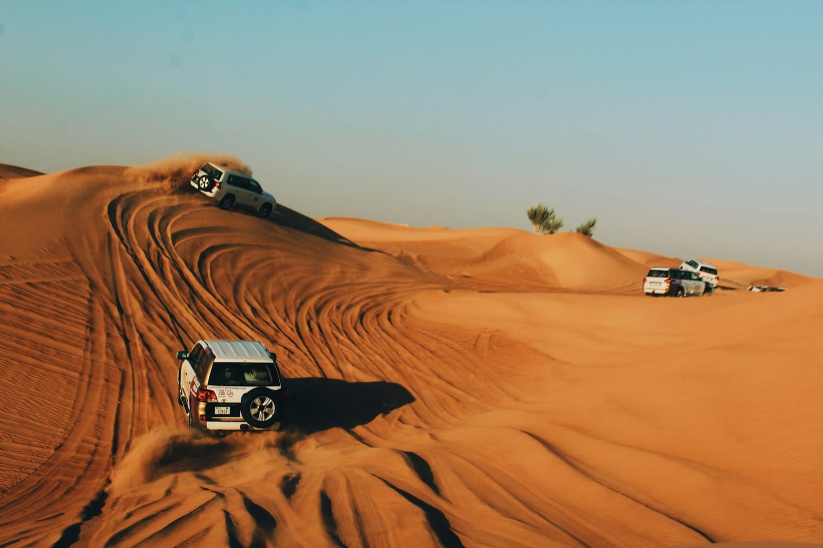 Beyond the Tourist Trap: A Luxury Desert Safari Guide for Dubai