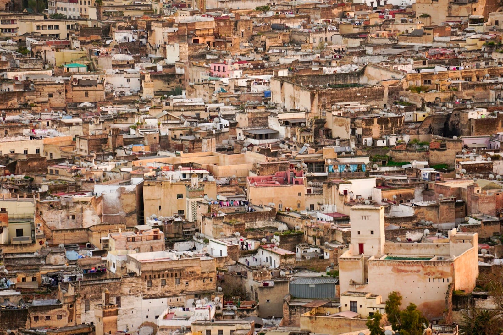 Marrakech or Fez? The Honest Guide to Choosing Your Moroccan City