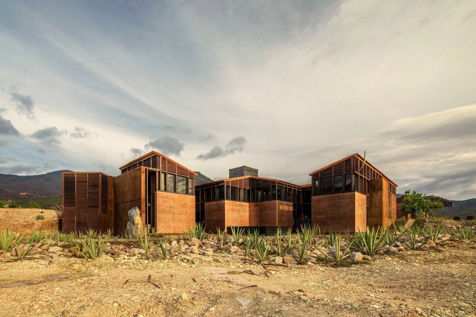 Oaxaca and the Art of Mezcal: A Luxury Spirits Journey