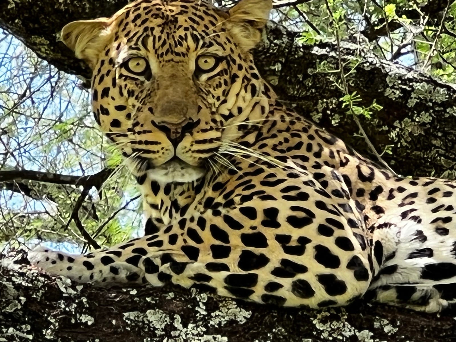 The Serengeti Changed Everything I Thought I Knew About Luxury