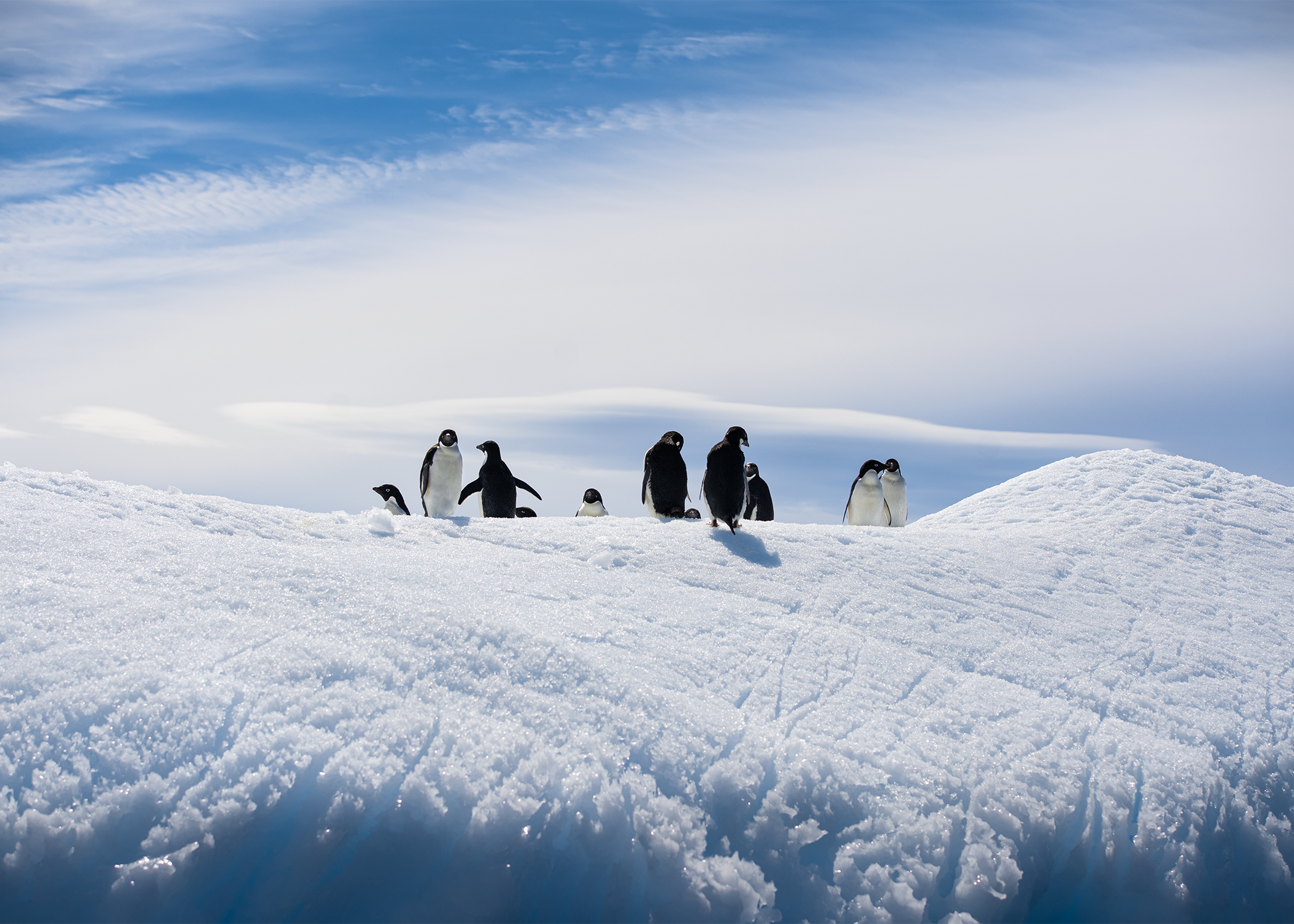 Antarctica - Photo 1 (Hero Left)