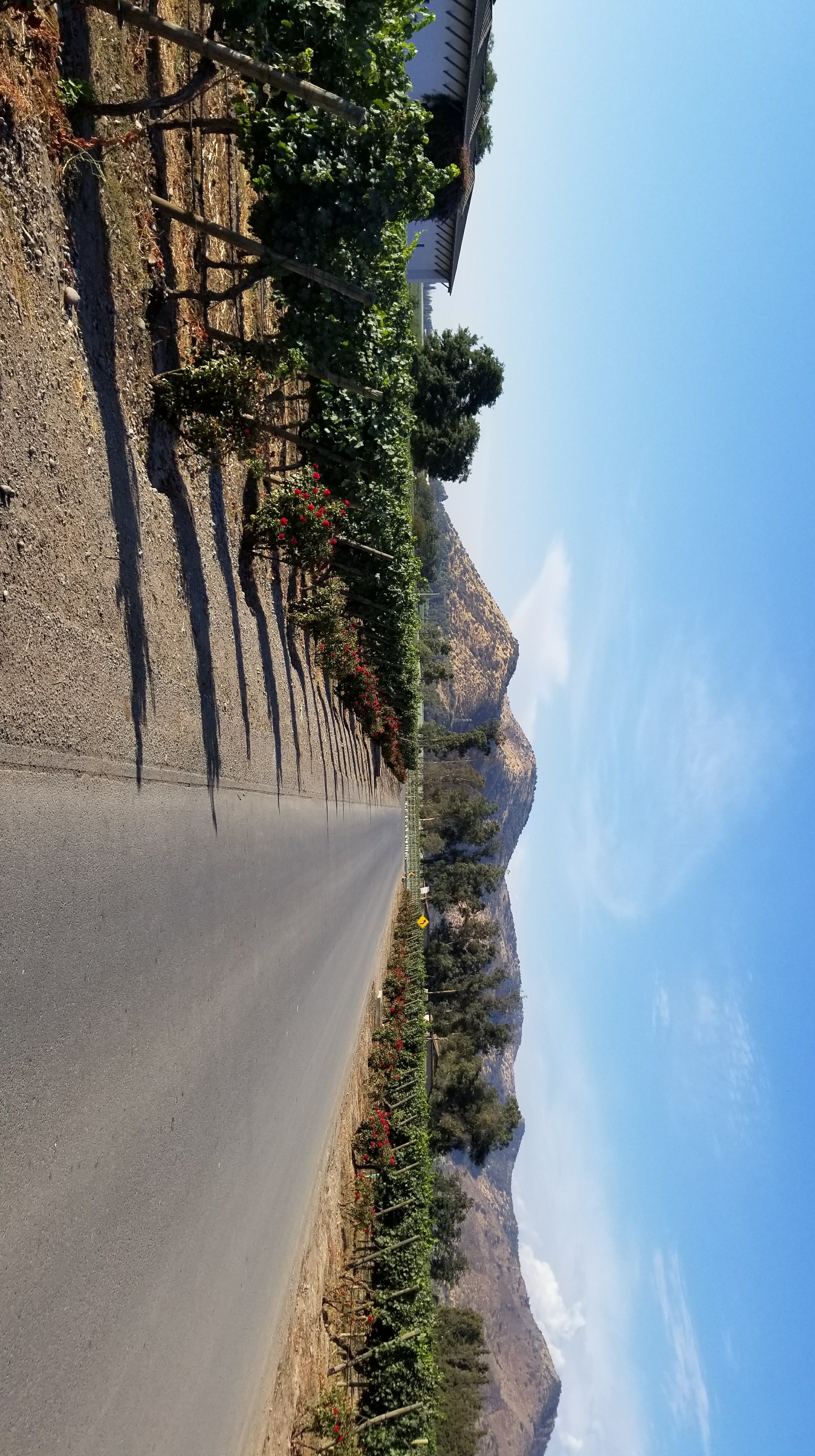 Chile - Where You'll Stay