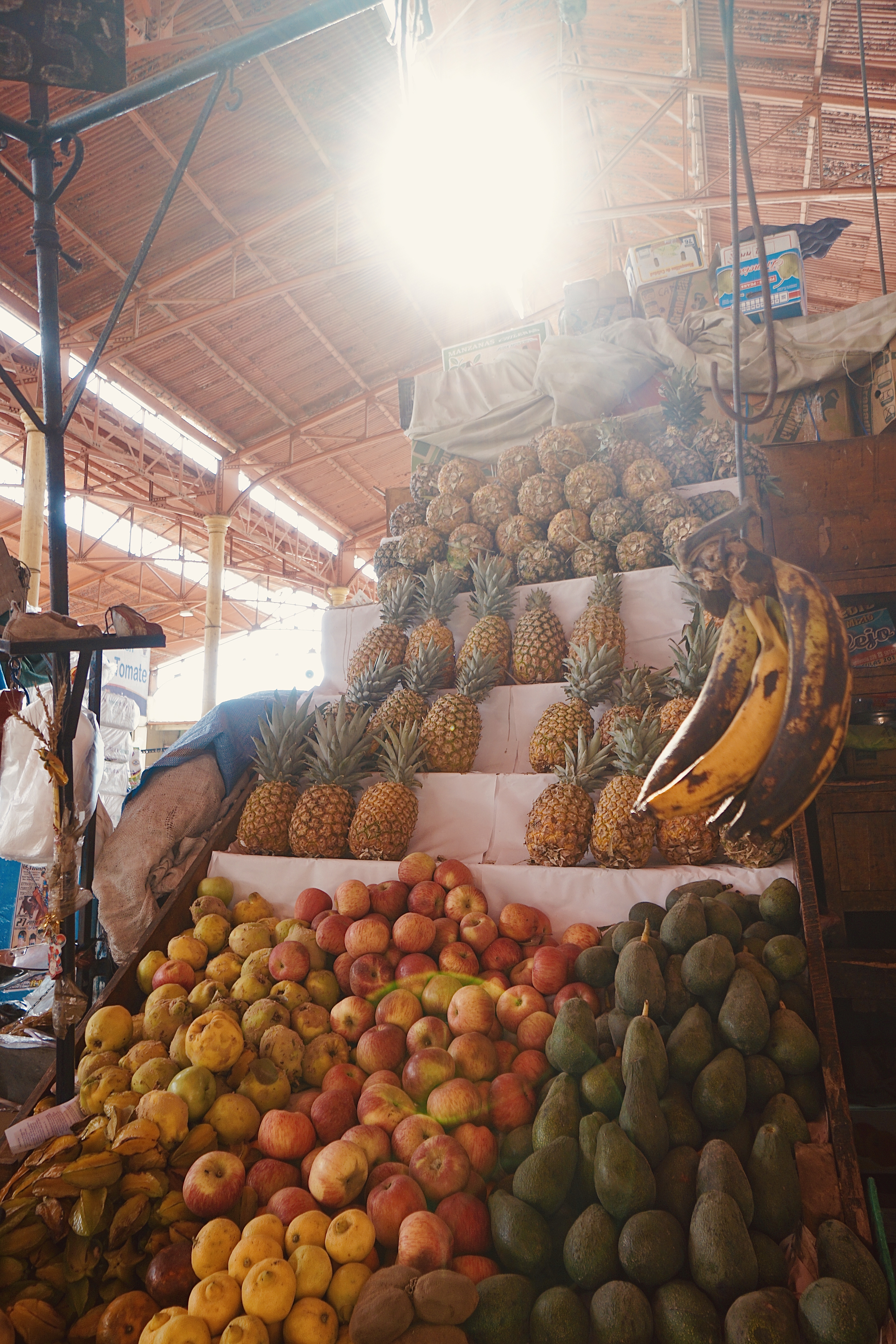 Peru - Envision Landscape