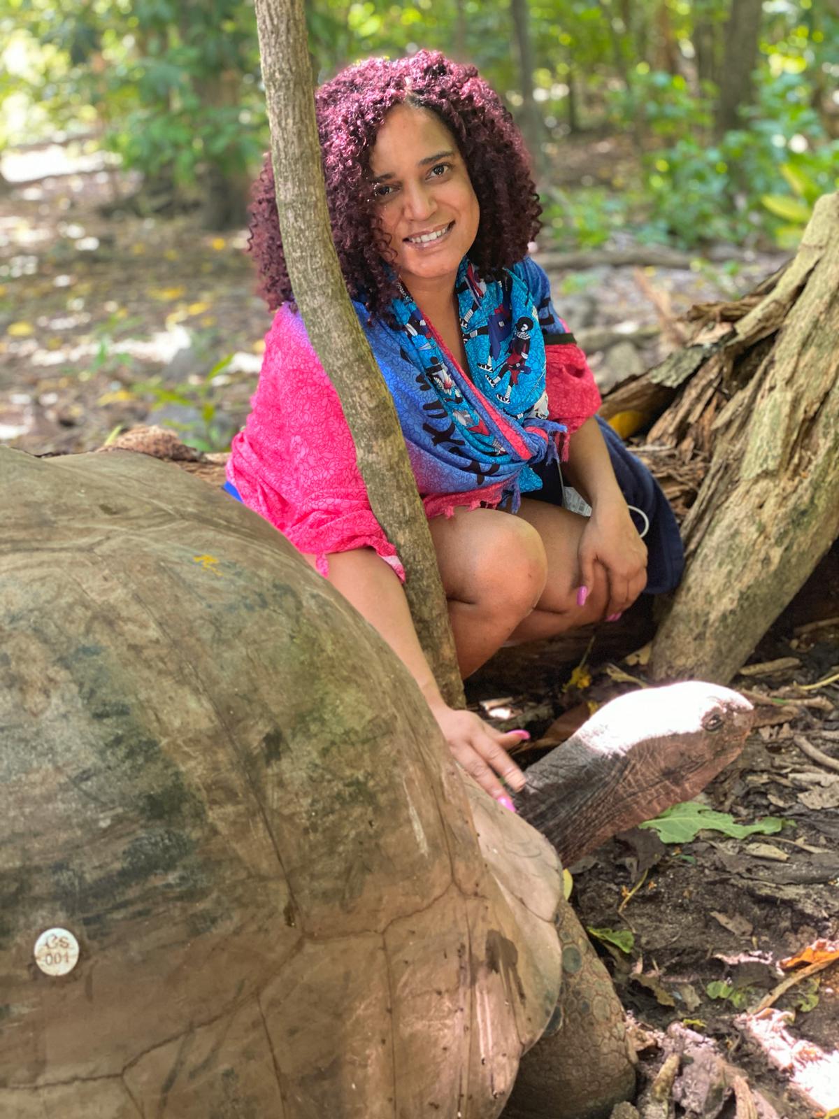 Seychelles - Envision Landscape